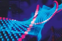 TS Phạm Văn Phúc: Nặng nợ với… tế bào gốc