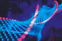 TS Phạm Văn Phúc: Nặng nợ với… tế bào gốc