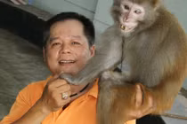 Chuyện sau sân khấu của những chú khỉ làm xiếc