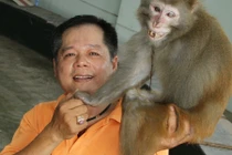 Chuyện sau sân khấu của những chú khỉ làm xiếc