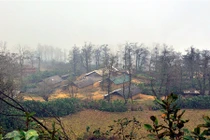 Đột nhập nơi quanh năm đốt lửa, đắp chăn bông độc nhất VN 