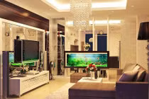 4 đồ vật đặt sai phong thủy khiến tiền bạc đội nón ra đi 