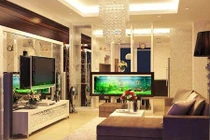 4 đồ vật đặt sai phong thủy khiến tiền bạc đội nón ra đi 