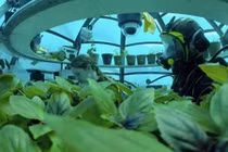 Trang trại dưới đáy biển “độc nhất vô nhị” trên thế giới