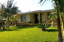 Những ngôi nhà vườn bình dị mà mát rượi của nghệ sĩ Việt