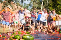 Chuyện kỳ thú ở lễ hội dưa hấu lớn nhất hành tinh