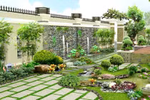 Cách trồng cây cảnh trong nhà mang tài lộc dồi dào cho gia chủ