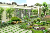 Cách trồng cây cảnh trong nhà mang tài lộc dồi dào cho gia chủ