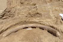 Kinh ngạc ngà voi ma mút “ngoại cỡ” 1 triệu năm tuổi