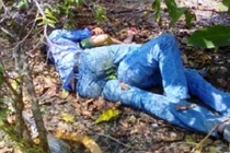 Cướp xong, ép nạn nhân vào rẫy để hiếp dâm 