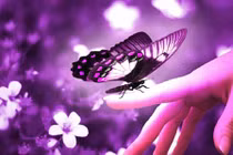 5 điềm báo bạn sắp có tiền hoặc có tình