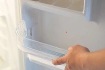 Vệ sinh tủ lạnh kiểu này coi chừng rước họa vào thân 