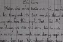 Học sinh lớp 3 miêu tả về Hồ Ngọc Hà như thế nào?