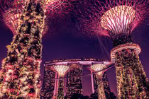 Ngẩn ngơ vẻ đẹp của những khu vườn lạ thường trên TG