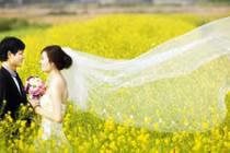 Chết mê với vườn hoa cải ven sông Tào ở xứ Thanh