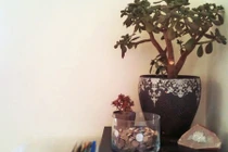 Cuối năm để vật này trong nhà tiền vào như nước