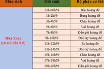 Coi số mệnh sướng khổ qua giờ sinh theo mùa 