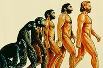 Vì sao loài người rụng đuôi tới 2 lần khi tiến hóa?