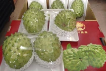 Mãng cầu Đài Loan khổng lồ "giá chát" gần 1 triệu đồng/quả