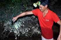 Trắng đêm theo chân “thợ săn” bắt cua trên sông Lam