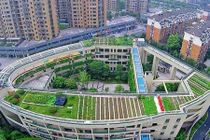 Trang trại rau xanh mướt trên nóc trường tiểu học