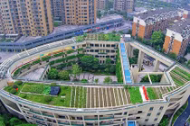 Trang trại rau xanh mướt trên nóc trường tiểu học