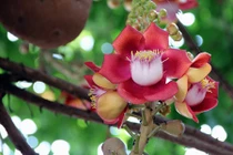 Phật dạy 3 “điểm vàng” giúp hôn nhân trăm năm bền vững