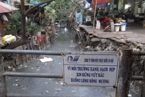 Ám ảnh mương 'chết' thối um giữa Hà Nội khi virus Zika đã đến