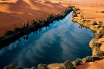 Những ốc đảo ấn tượng khắp thế giới