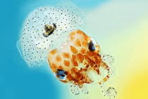 Những bức ảnh khoa học ấn tượng nhất thế giới