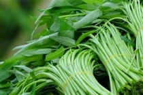 Mẹo đơn giản phân biệt rau sạch bẩn chỉ trong 1 nốt nhạc