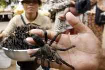 "Nổi da gà" trước những món ăn kỳ lạ nhất thế giới