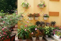 Biệt thự ngập hoa và nắng giữa lòng thành phố Hưng Yên