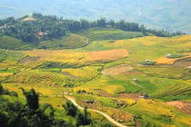 Ảnh: Trải nghiệm Y Tý với sớm nắng, chiều mưa, buổi trưa mù mịt