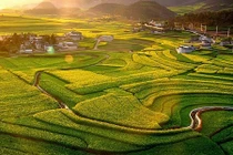 Ngắm ruộng bậc thang ở Trung Quốc vào mùa đẹp nhất năm