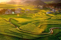 Ngắm ruộng bậc thang ở Trung Quốc vào mùa đẹp nhất năm