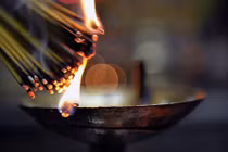 Hướng dẫn cách tỉa chân hương đúng nhất