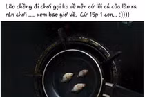 “Cá mập cắn” cáp quang liên tiếp khiến người dùng kêu trời