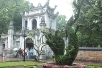 Thích thú cặp rồng kết từ cây xanh ở Văn Miếu