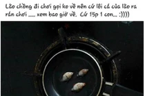 “Cá mập cắn” cáp quang liên tiếp khiến người dùng kêu trời