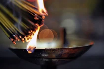 Hướng dẫn cách tỉa chân hương đúng nhất