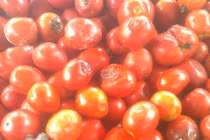 Những thực phẩm có nguy cơ chứa nhiều ấu trùng và độc tố 