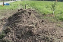 Dựng tóc gáy với tiếng rên trong mộ hoang, đào lên thì...