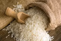 Gạo Tám xoan Hải Hậu quý hiếm nổi tiếng như thế nào?