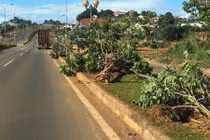 Bi hài vung tiền tỷ trồng cây độc rồi lại... tiêu diệt ở Đắk Nông