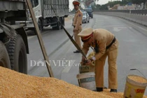 Hình ảnh đẹp: CSGT cùng dân gom ngô cho chủ xe gặp nạn