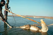 Bí ẩn bộ tộc ít người nhất thế giới, sống như thời nguyên thủy