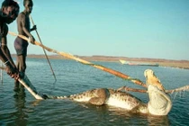 Bí ẩn bộ tộc ít người nhất thế giới, sống như thời nguyên thủy