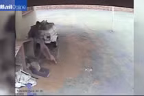 Tên trộm khổ sở đến tội nghiệp vì bị chó tấn công