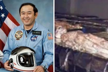 Phi hành gia NASA nhìn thấy “xác chết người ngoài hành tinh”?